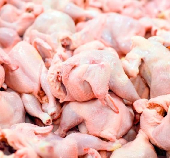 Premium Frozen Chicken